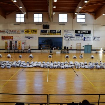 Stage A.C. Kookan e Allenamento di gara: Vercelli 1 Maggio 2019