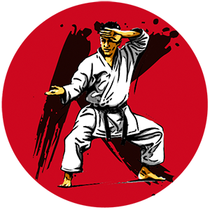 Keiko Club Torino – Le arti marziali ripartono