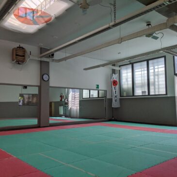 Ora hai una scusa per venire a vedere il Dojo di Corso Allamano 40/6 (Torino)