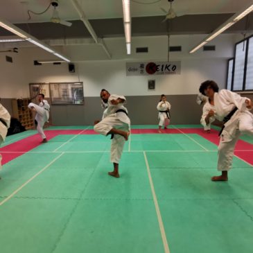 Parte alla grande il Corso di Karate