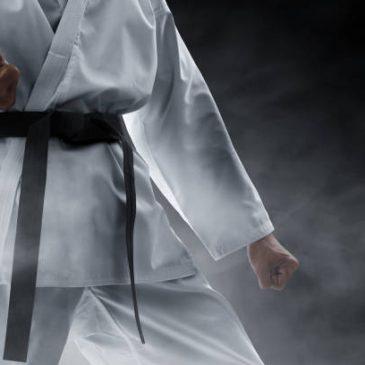 Stage e gara di Karate con la Kookan a Vercelli